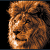 Tranh đầu sư tử - Thumbnail 1