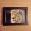 Tranh đầu sư tử - Thumbnail 2