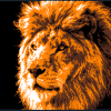 Tranh đầu sư tử - Thumbnail 3