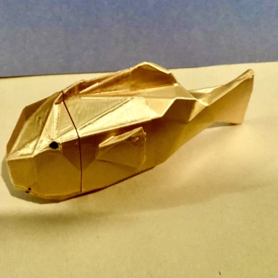 Bộ San hô Low Poly Phong cách Nemo