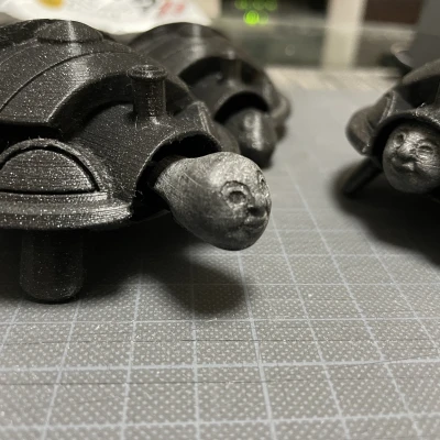 Thomas Rùa Bóp Mép