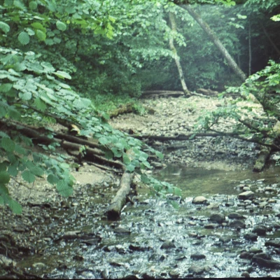 Máy ảnh phim Panorama 35mm