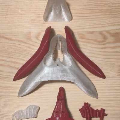 [Beta] Mô hình giải phẫu âm vật dùng trong giáo dục