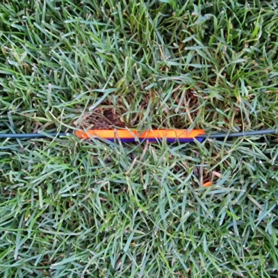 Vòng dây ranh giới bổ sung cao cấp cho robot cắt cỏ