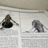 Mô Hình 3D Thing Ico 2nd Ed AD&D Xorn - Thumbnail 1