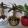 Chậu Trồng Cây Nhỏ Hình Trứng Bộ Xương - Thumbnail 1