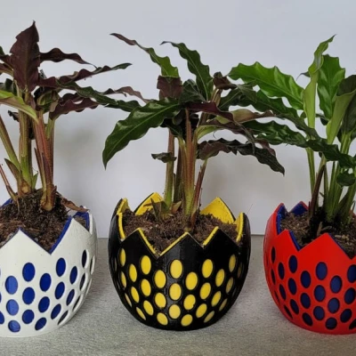 Chậu Trồng Cây Nhỏ Hình Trứng Bộ Xương