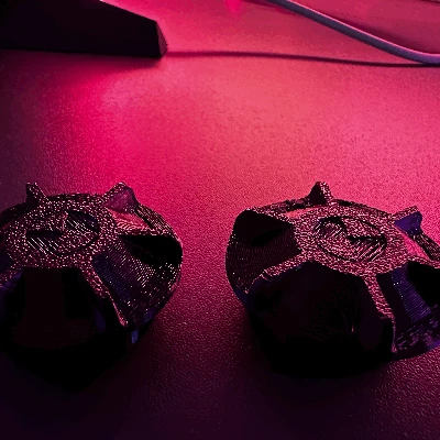 Chụp Nắp Vòm BMW E46