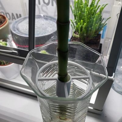 Chỗ Đỡ Cây Trúc May Mắn