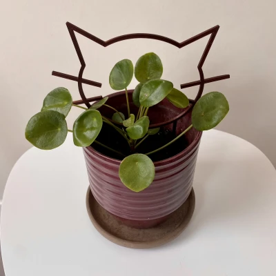 Dụng Cụ Giữ Cây Hình Mèo Mặt Lạ