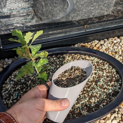 Muỗng Xúc Đất Bonsai