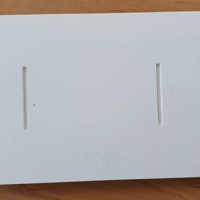 Bẫy Ốc Sên "Past"