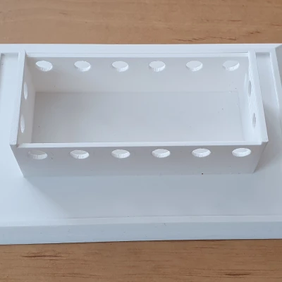 Bẫy Ốc Sên "Past"