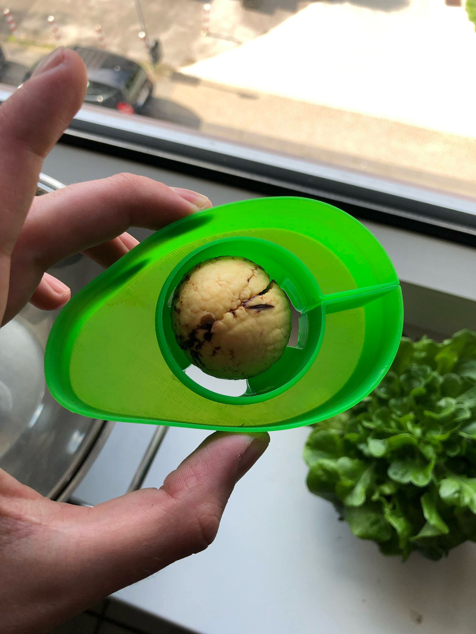 Thuyền Bơ Tự Làm Cho Hạt Bơ Nảy Mầm Vasemode