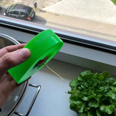 Thuyền Bơ Tự Làm Cho Hạt Bơ Nảy Mầm Vasemode