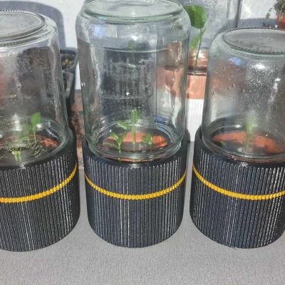Khu vườn ươm mini từ hũ thủy tinh mk3