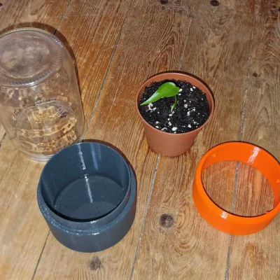 Chậu cây mini dạng nhà kính