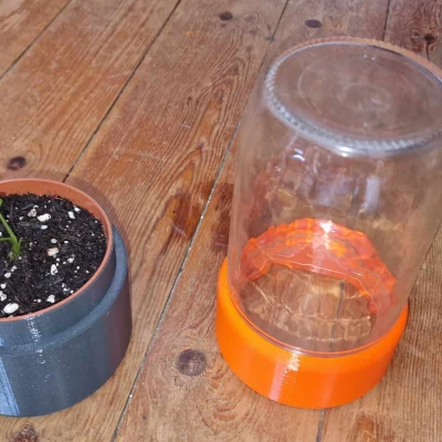 Chậu cây mini dạng nhà kính