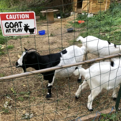 Biển báo chuồng dê