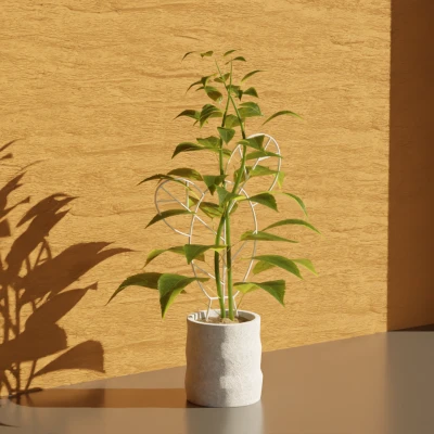 Chân Đế Chậu Xương Rồng