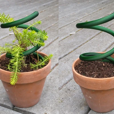 Lò xo "Vườn Xuân"