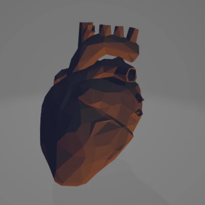 Trái tim giải phẫu low poly