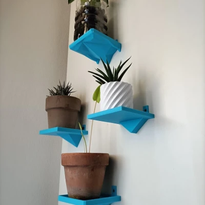 Kệ nhỏ cho cây Haworthia Phiên bản 2