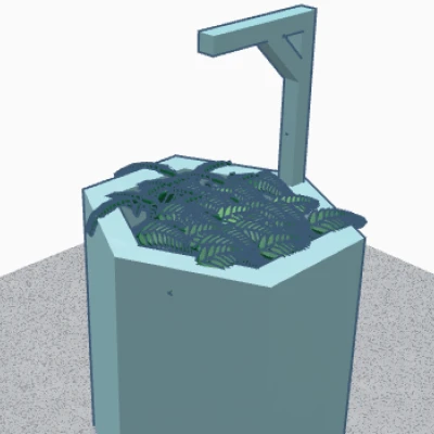 Chậu Trồng Cây Ngoài Trời