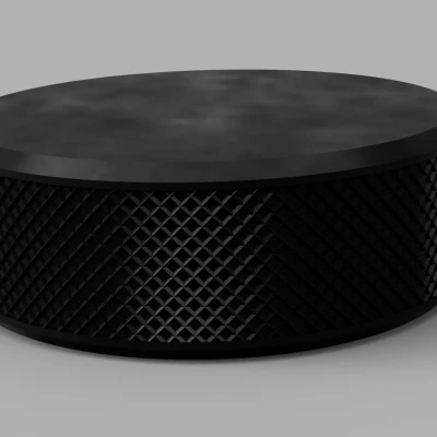 Mô Hình Quả Puc Khúc Côn Cầu Trên Băng