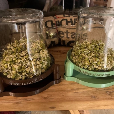 Dụng cụ ươm mầm hạt bằng lọ IKEA - Phiên bản Giá đỡ