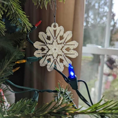 Cùng Tuyết Rơi Nào Buffalo!