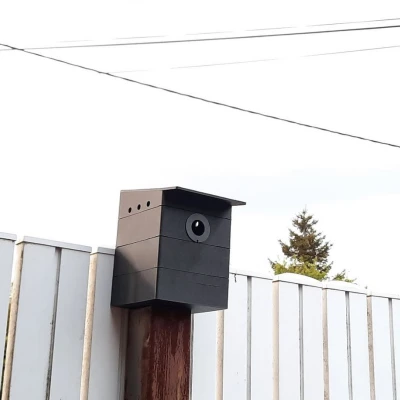 Nhà Chim Bằng Mô Hình 3D