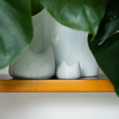 Chén Mèo Dễ Thương