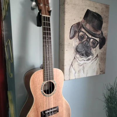 Giá treo tường Ukulele có kệ nhỏ (Không cần Support)