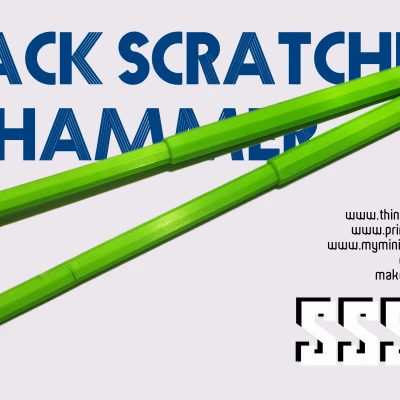 Cây Gãi Lưng & Đập Lưng Đa Năng (05)