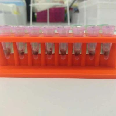 Nam châm tách dải PCR