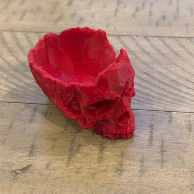 Tô Đầu Lâu Low Poly