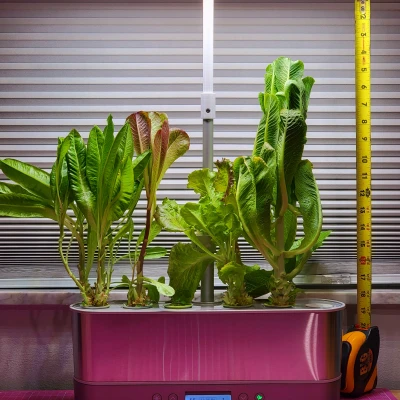 Phần mở rộng chiều cao đèn trồng cây cho AeroGarden Harvest Elite
