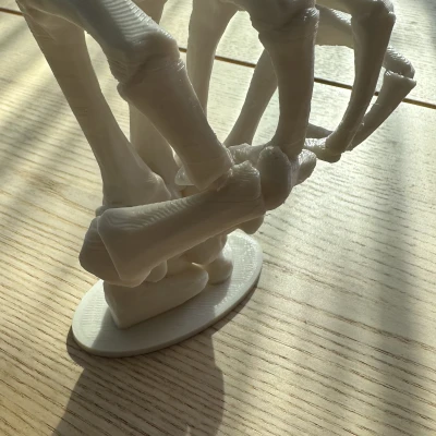 Bộ Tay Bộ Xương - Trang Trí Bàn/Tường