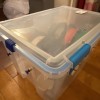 Kẹp Hộp Chống Ẩm Sterilite - Thumbnail 2