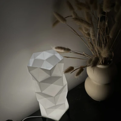 Bộ Đèn LED Chụp Đèn Creality