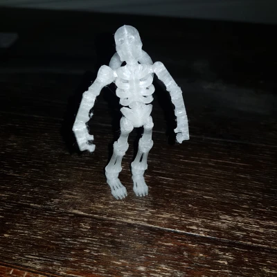 Bộ xương Flexi làm móc khóa