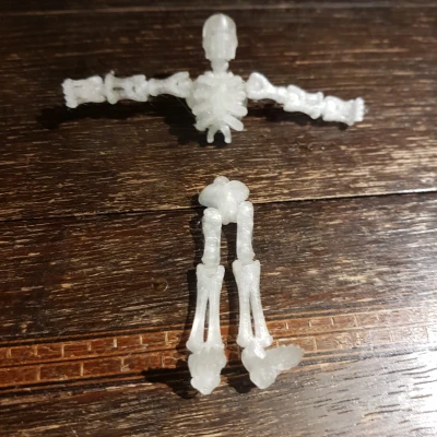 Bộ xương Flexi làm móc khóa