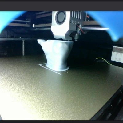 Nón Che Camera QIDI