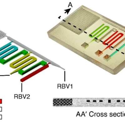 Chip vi lỏng chức năng in 3D, sẵn sàng sử dụng