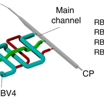 Chip vi lỏng in 3D nguyên khối với ống dẫn lõm tiết diện tròn