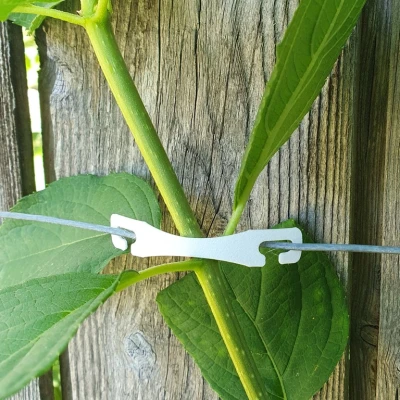 Kẹp Giữ Dây Cho Cây Leo