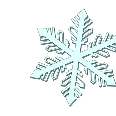 Bông Tuyết "Snowflake"