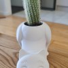 Chậu Xương Rồng Hình Mèo - Thumbnail 2