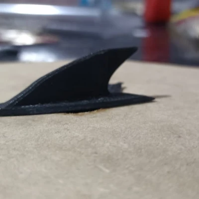 Vây Cá Mập - ALETA DE TIBURON, SHARK FIN